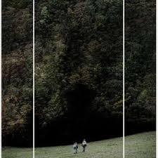 森林的黑暗心脏