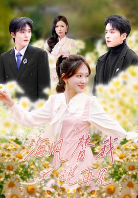 海风替我说再见第01-30集