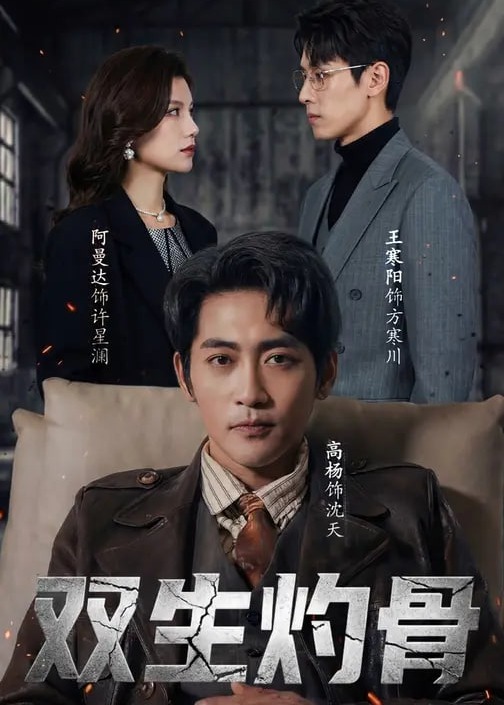 双生灼骨(全集)