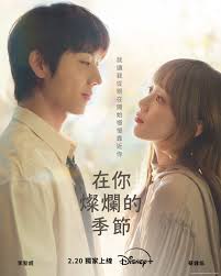 在你的灿烂季节(全集)